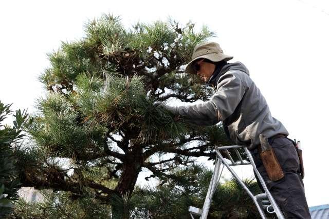 半田市内での造園作業スタッフ募集！日曜＋週ごとの希望休の週休2日制◎資格取得支援ありで成長も安定も手に入ります