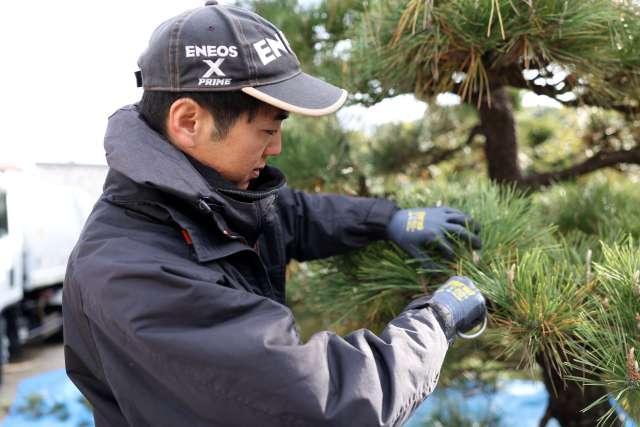 半田市内での造園作業スタッフ募集！日曜＋週ごとの希望休の週休2日制◎資格取得支援ありで成長も安定も手に入ります