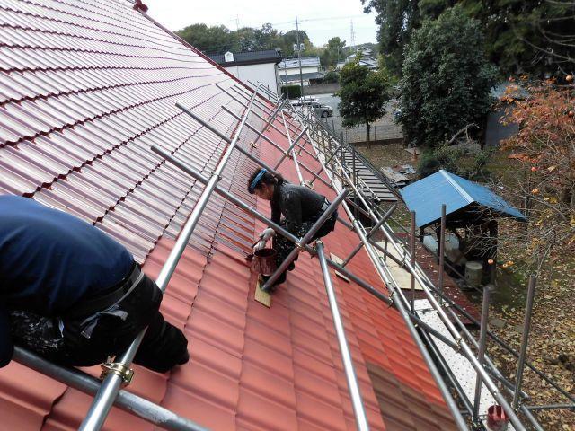 イベント施工・住宅メンテスタッフ｜猫と働く正社員募集!