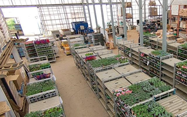 【藤沢市/農業・配送ドライバー】年間休日120日以上!未経験歓迎のポット苗の生産・管理スタッフ